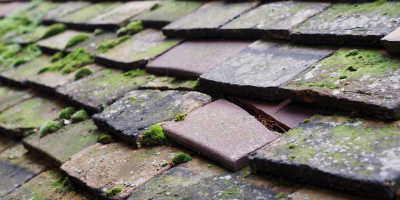 Tetsworth roof repair costs